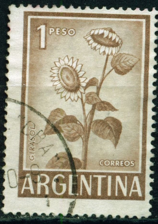 José Francisco de San Martín (1778-1850)