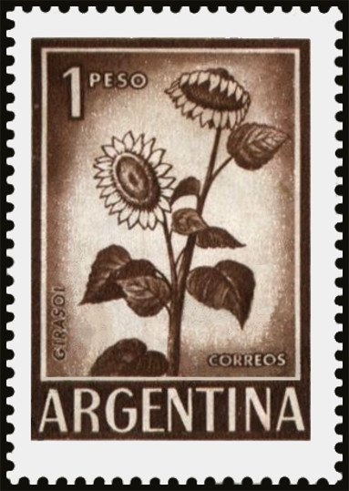 Centenary of 1st edition of novel "Martín Fierro"