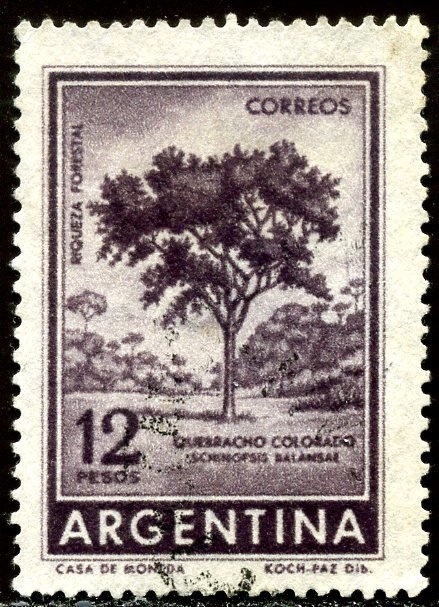 "The Nativity" (Antonazzo Romano)