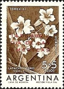 Post Office Building, Buenos Aires.