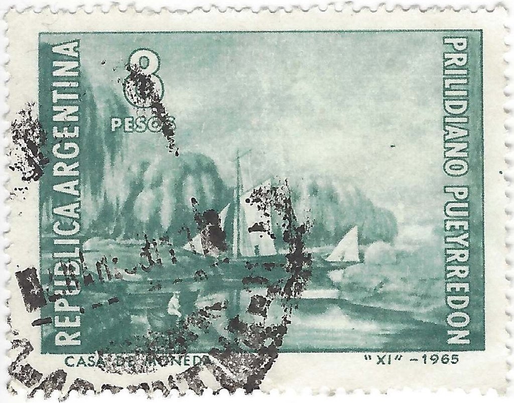 Shorthorn (Bos primigenius taurus)