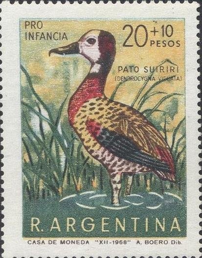 Red-and-green Macaw (Ara chloroptera)