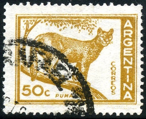 100 Year Anniversary First Helicopter Flight