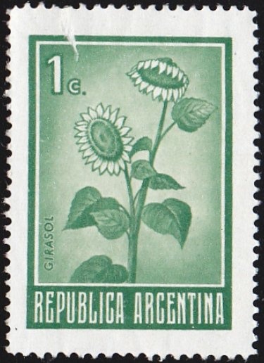 Empanadas - Cebolla de Verdeo - small size