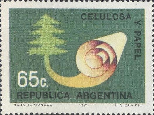 Argentina Football Team