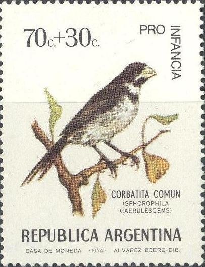 International Hortucultural Expo - Orchid Cattleya labiata