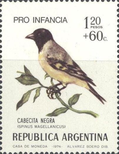 Lake Frias in the Nahuel Huapi park