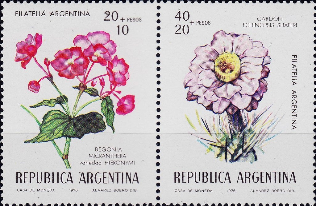 "La Espera" by Gustavo Solari