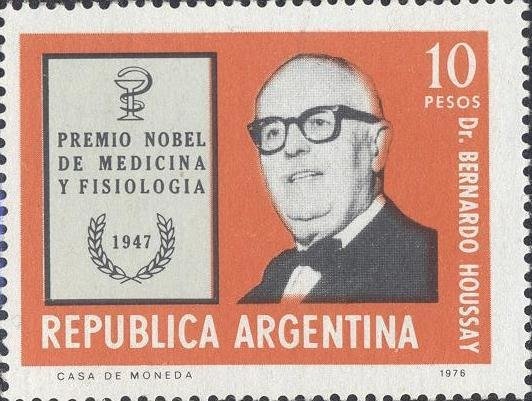 Mburucuyá (Passiflora coerulea)