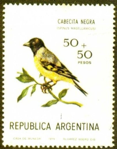 20th Anniversary of UNESCO