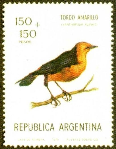 Tierra del Fuego - Larger size