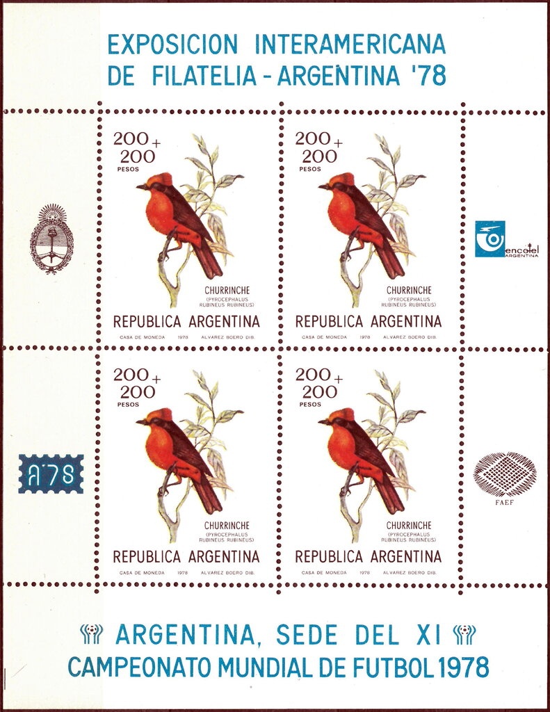 Camalote Aguapey (Eichhornia crassipes) - Phosphor