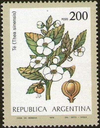 1st Anniversary of the Monument to the Flag