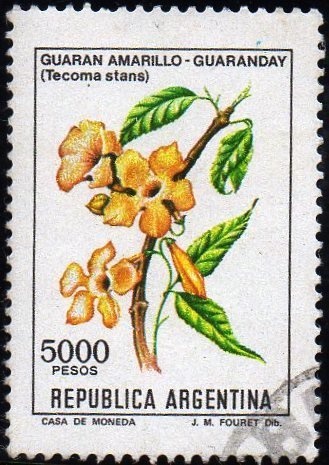 Wine Regions - Salta - Torrontés