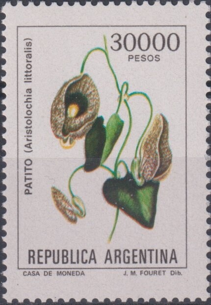 Estación Terrena Balcarce