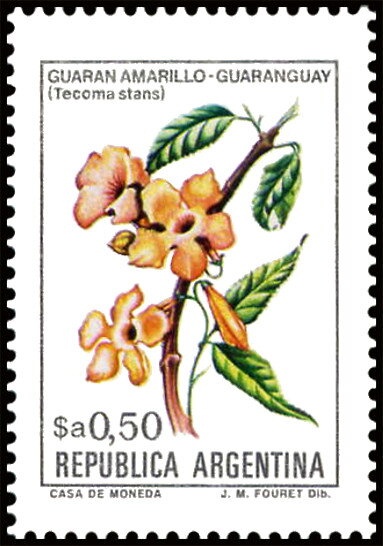 Football Gold Cup, Montevideo