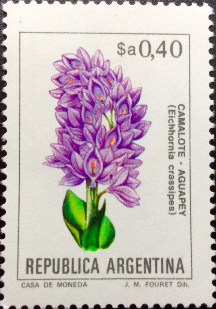 José Francisco de San Martín (1778-1850)