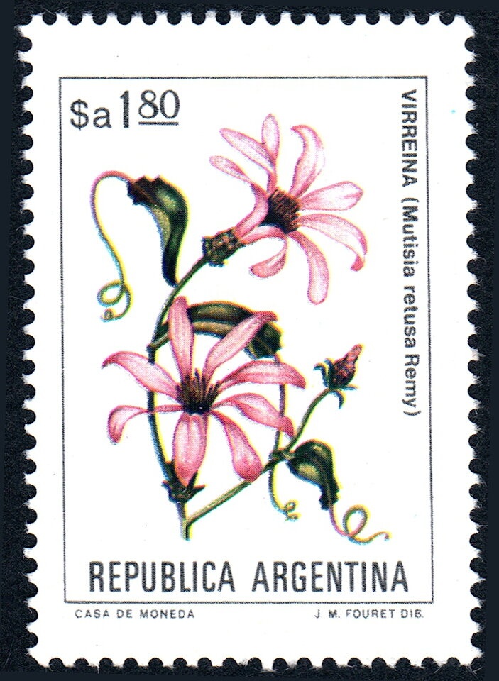 José Francisco de San Martín (1778-1850)