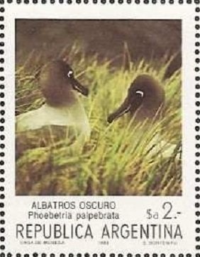 Landing of Christopher Columbus in America