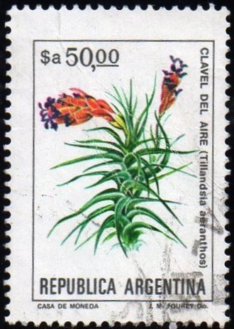 Image and sound design