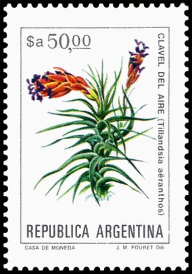 Marcos Zar and Savoia S-16 Flying Boat