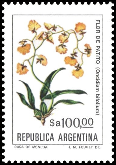 José Francisco de San Martín (1778-1850) - typo