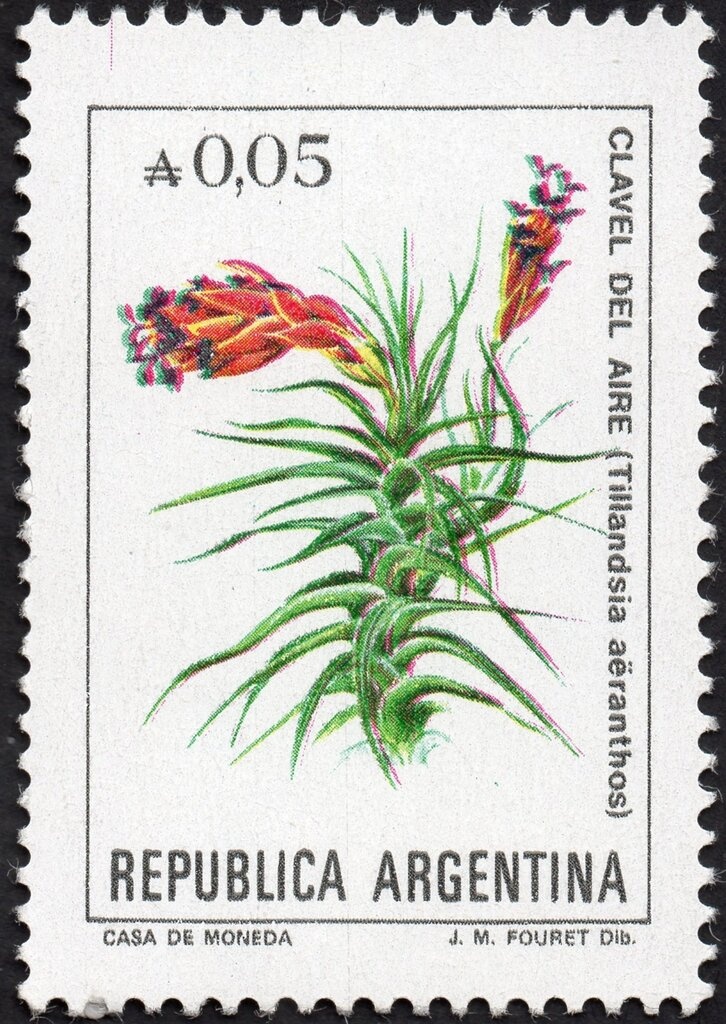 Francisco Luis Bernárdez (1900-1978)