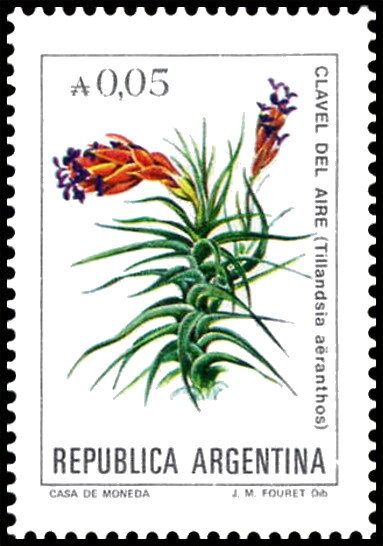 Mercosur - Sieve, fork and spoon