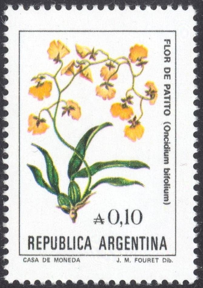 Hooded Siskin (Spinus magellanicus)