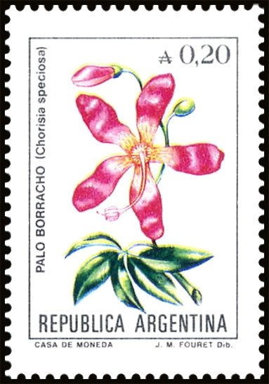 Gerbera, Gardenia & Rose