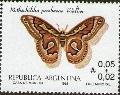 Locro -Zapallo y ají - small size