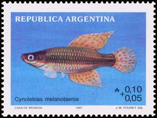 Tourism - Train on the Clouds