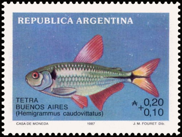 Cavaleryman of the Regiment "Infernal de Güemes"