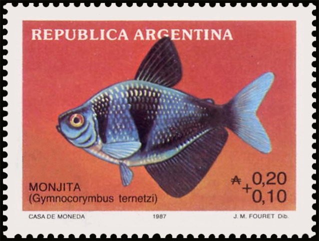 Frigate "Heroína" and Malvinas Islands