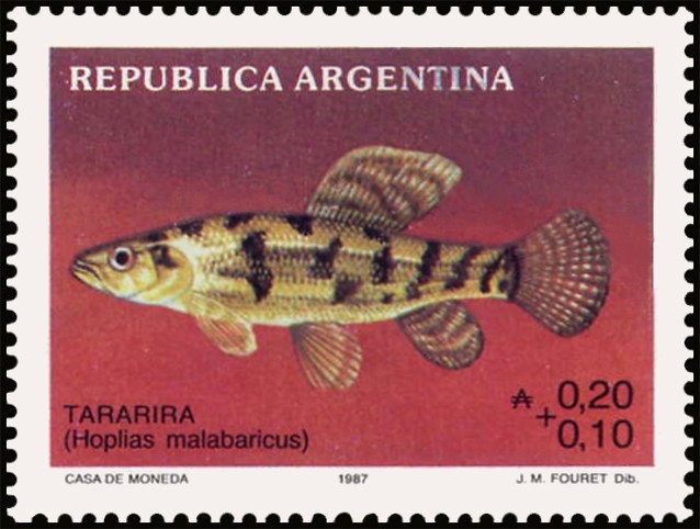 UP - Nationalization of obligatory Pension Insurance