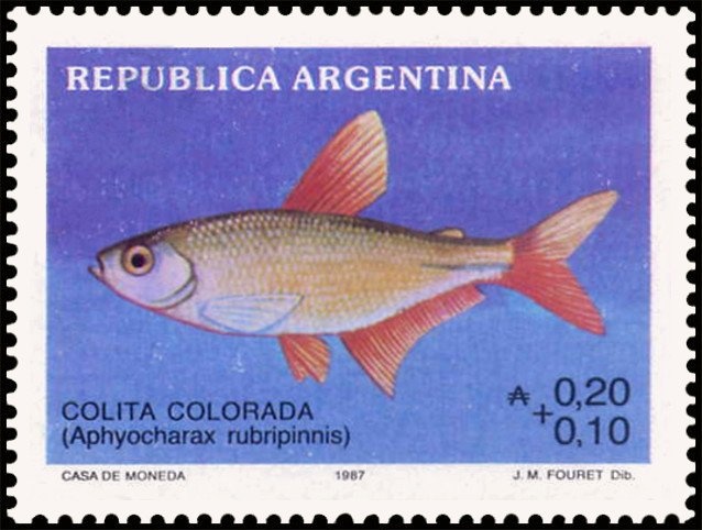 José Francisco de San Martín (1778-1850)