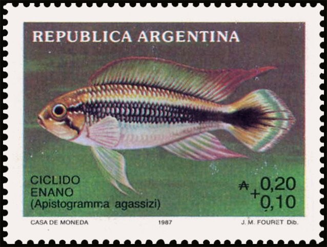 Tapestry by Alisia Frega