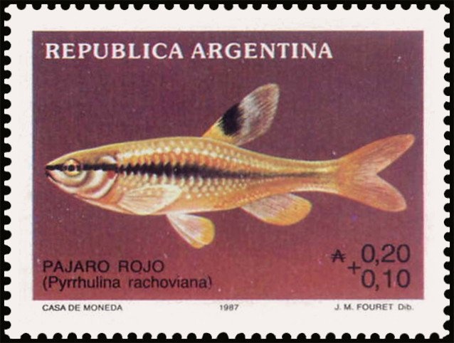 100th birthday of Enrique Santos Discépolo (1901-1951)