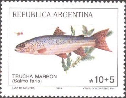 Carlos Arturo Gianantonio (1926-1995)