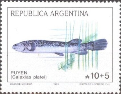 50 years of the National Technological University