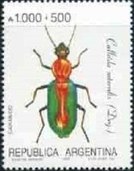 International Year of Mathematics - Infinite sign