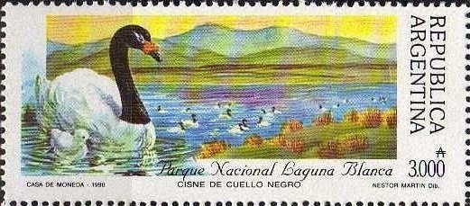 Maradona and FIFA Cup