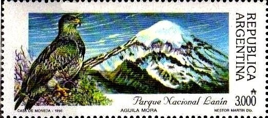 Rufous-bellied Trush (Turdus rufiventris)