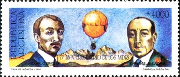 White-faced Whistling-Duck (Dendrocygna viduata)