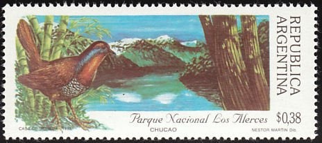 Giganotosaurus carolinii