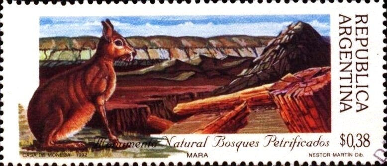 Air Mail - Stylized aircraft