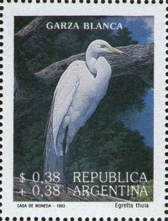 Bridge, Santa Fe de la Vera Cruz