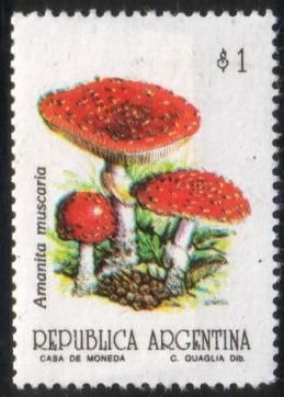 General Manuel Belgrano who created the National Flag