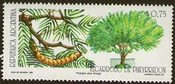 50th anniversary of the Argentine Antarctic Institute