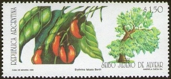 200th Anniversary of the Defence of Buenos Aires